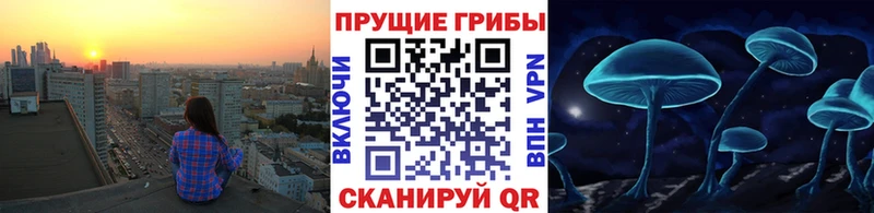hydra ССЫЛКА Омутнинск Псилоцибиновые грибы Psilocybine cubensis